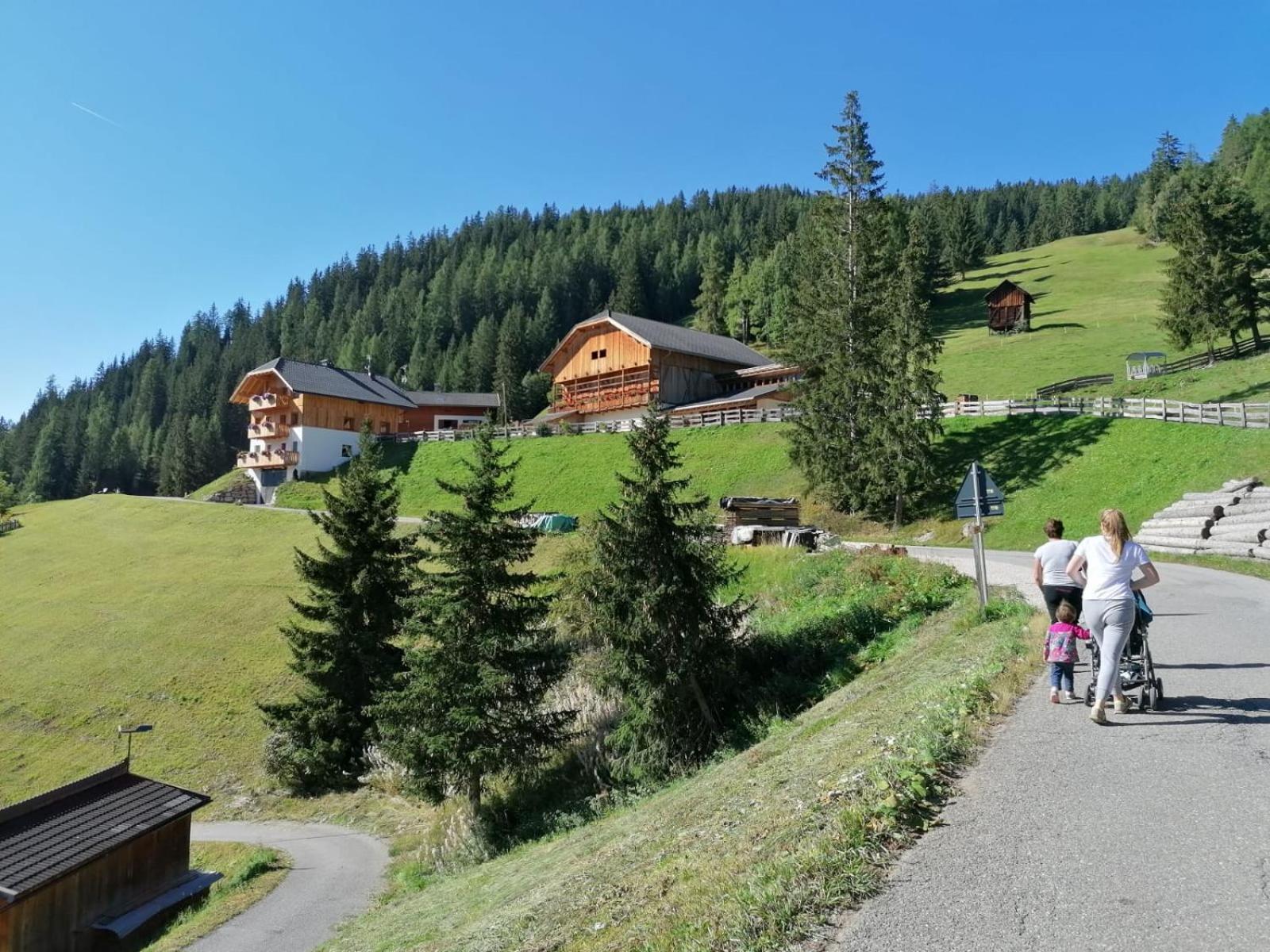 Agriturismo Luech Picedac La Valle Luaran gambar
