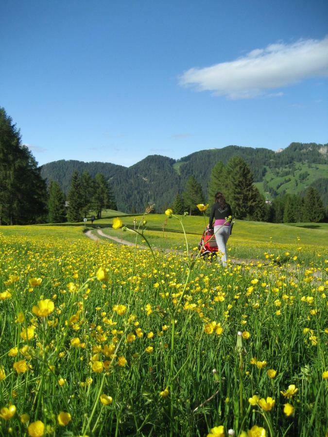 Agriturismo Luech Picedac La Valle Luaran gambar